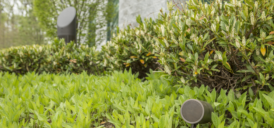 A Coastal Source bullet speaker in a green plant bed with an ellipse bollard speaker in the background.